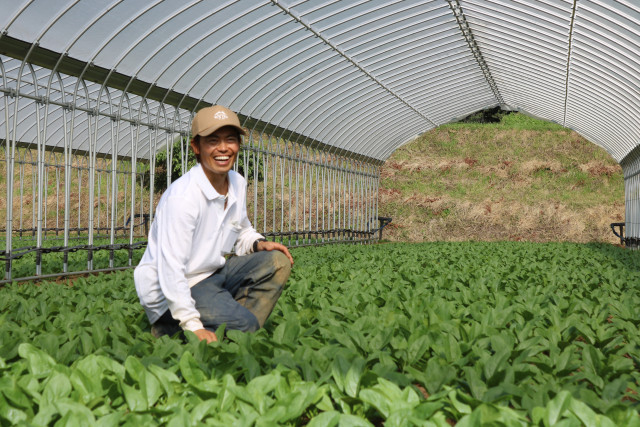 猛暑の影響で過去最大の不作に…。絶体絶命の危機を回避できた理由とは