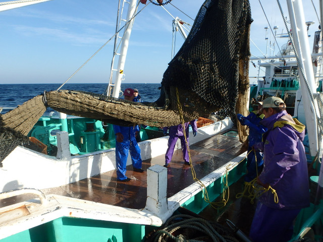 漁師仲間と経営のための研究会を立ち上げたい。組織体制や手順はどうすればいい？