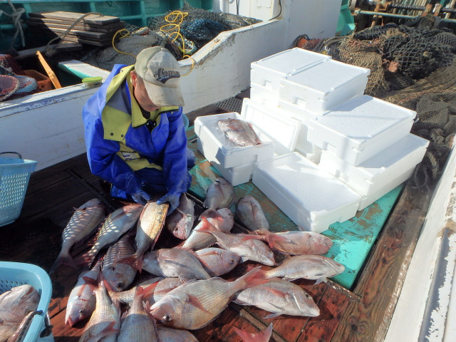 魚の鮮度を保つ「活け締め」や「神経締め」は具体的にどんなことをするのでしょうか？