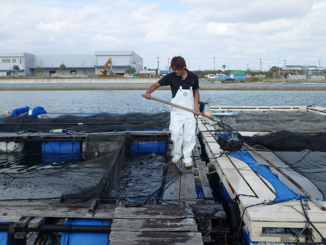 養殖業の離職率が高い。昔ながらの漁師気質になじんでもらう良い方法は？