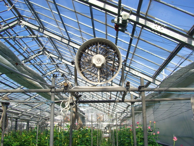 循環送風機、農業、ハウス Editor's Eyes 農機具のプロがオススメする一味違うハウス用品