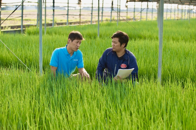 「稼げるスター農家をめざせ！」6次産業化を始めるタイミングはいつ？