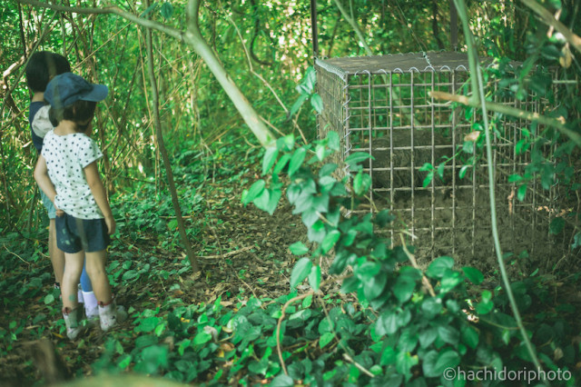 農地を守れ！「イノシシとの共生」が人を集め 人を育てる SDGsモデルへ