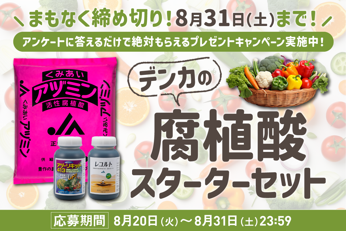 ＼まもなく締め切り！8月31日(土)まで！／ アンケートに答えるだけで絶対もらえるプレゼントキャンペーン実施中！
