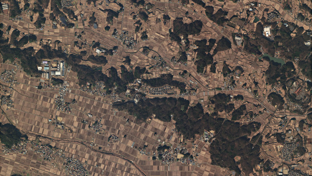 デジタルファーミングにおける衛星画像の価値