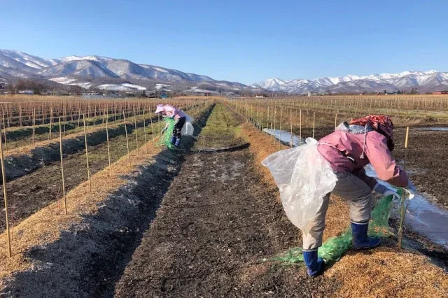 第3話 代表取締役 上野耕平 「沖縄から北海道へ。ニーズがあれば、突破口になる 」