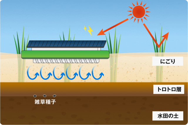 アイガモロボが雑草抑制に効果がある理由/有機米デザイン