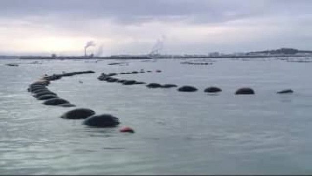 石巻湾でカキ養殖いかだに被害 宮城県で津波観測 宮城