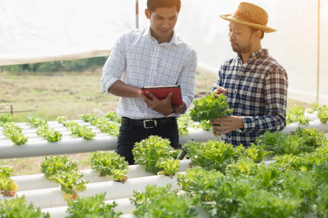 農業コンサルタントを頼みたい。見極めるチェックポイントは？