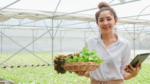 ネットショップを開設したい!野菜販売に適した直販サービスと導入の注意点は?