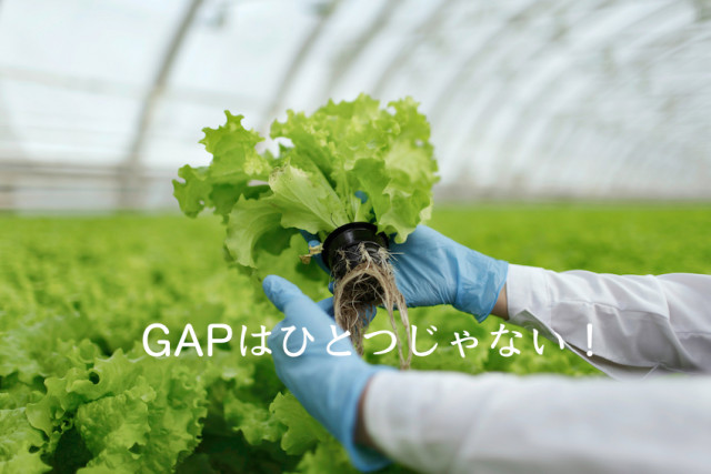 今さら聞けないGAP認証とは?GAPはひとつだけじゃない!