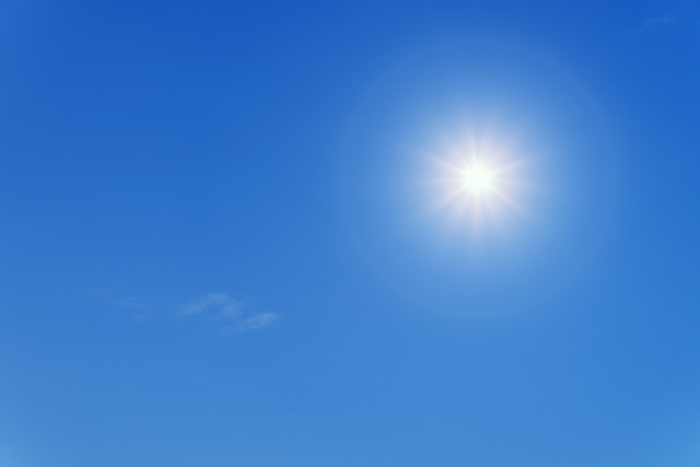 花卉を栽培していますが、ハウス内の土を効果的に太陽熱消毒する方法を教えて