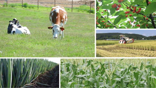 今さら聞けないGAP認証 取得のメリットとは?