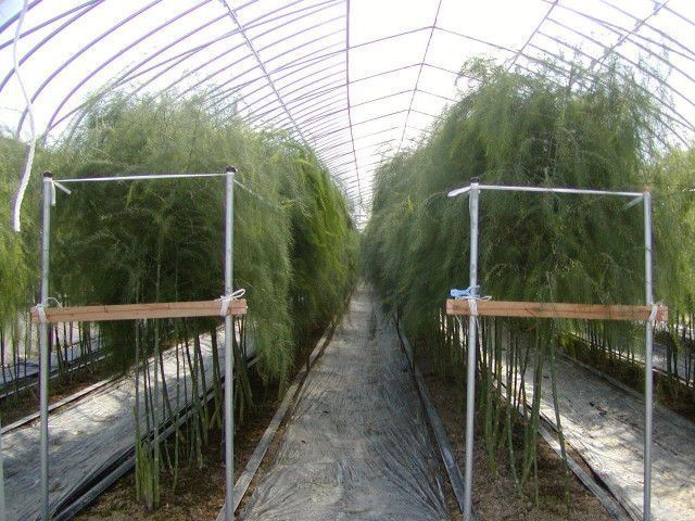 ハウス内の温度を自動で教えてくれるシステムはありませんか？