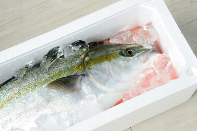 養殖ブリのブランド化はどうやっているのですか？事例も教えて