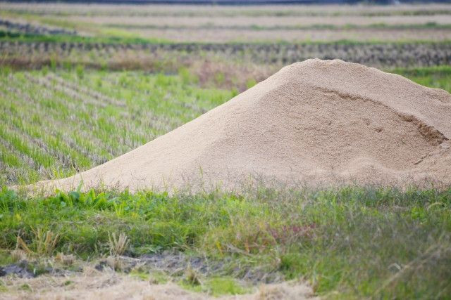 田んぼにもみ殻をすき込んでいますが、土に戻りづらくなっています