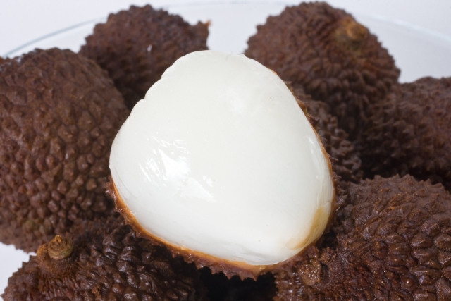 ライチの収穫方法や収穫時のポイントについて知りたい