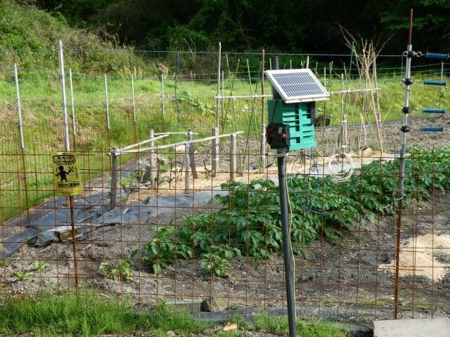 イノシシ対策の電気柵を自分で設置したい！必要な部品や注意点を教えてください