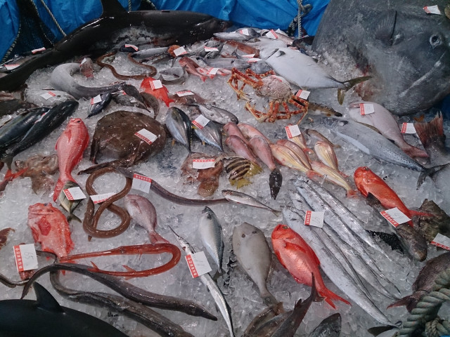 漁網の価格破壊 底引き網にかかる出荷できない魚。加工して売れないだろうか